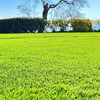 Giardino in erba sintetica - Malcesine - Lago di Garda