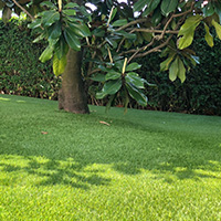 Giardino in erba sintetica - Alessandria